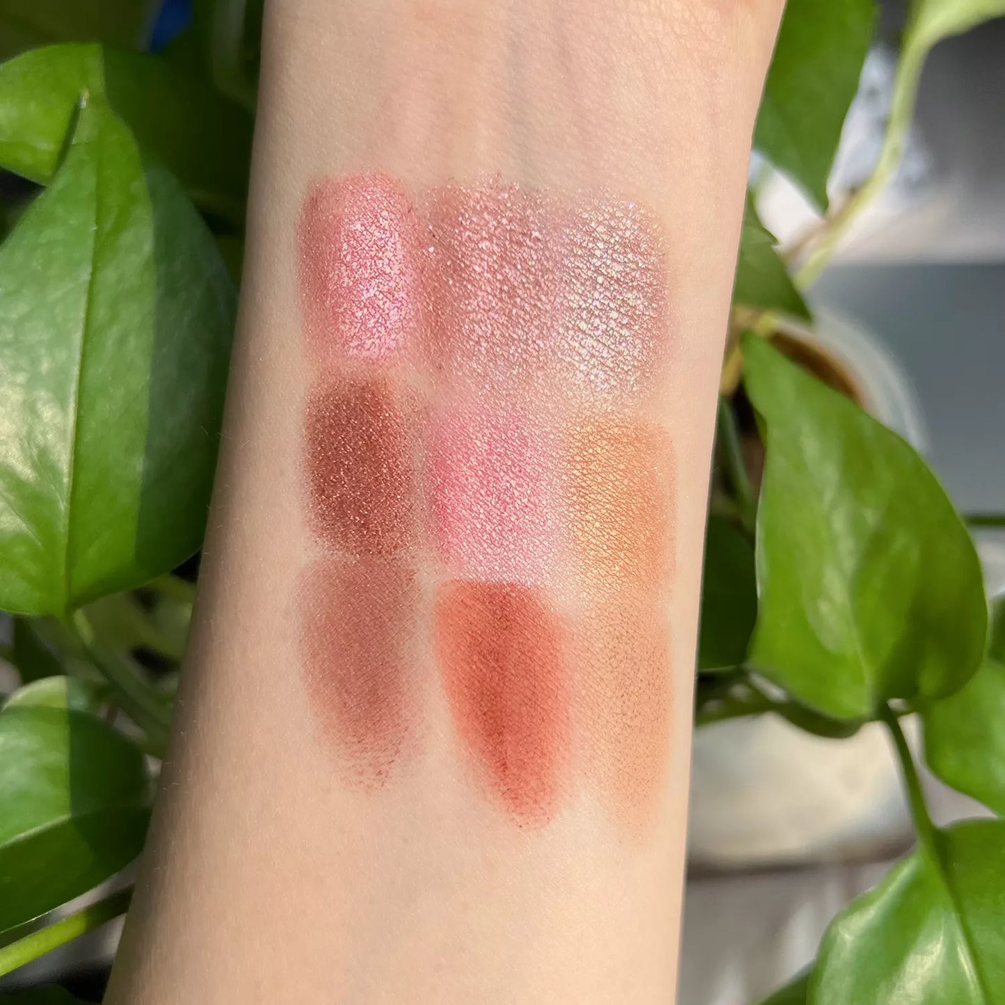 C66-1 / C66-2 Eye Shadow