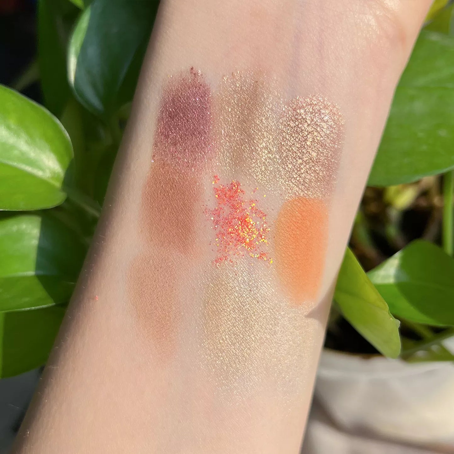 C66-1 / C66-2 Eye Shadow