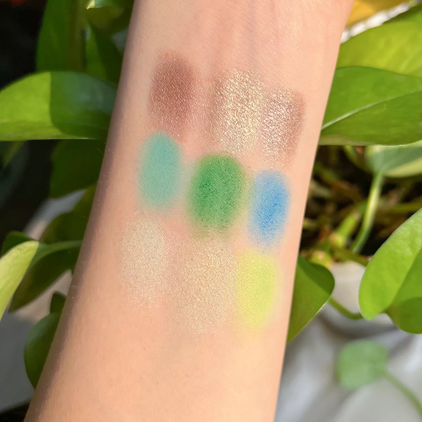 C66-1 / C66-2 Eye Shadow