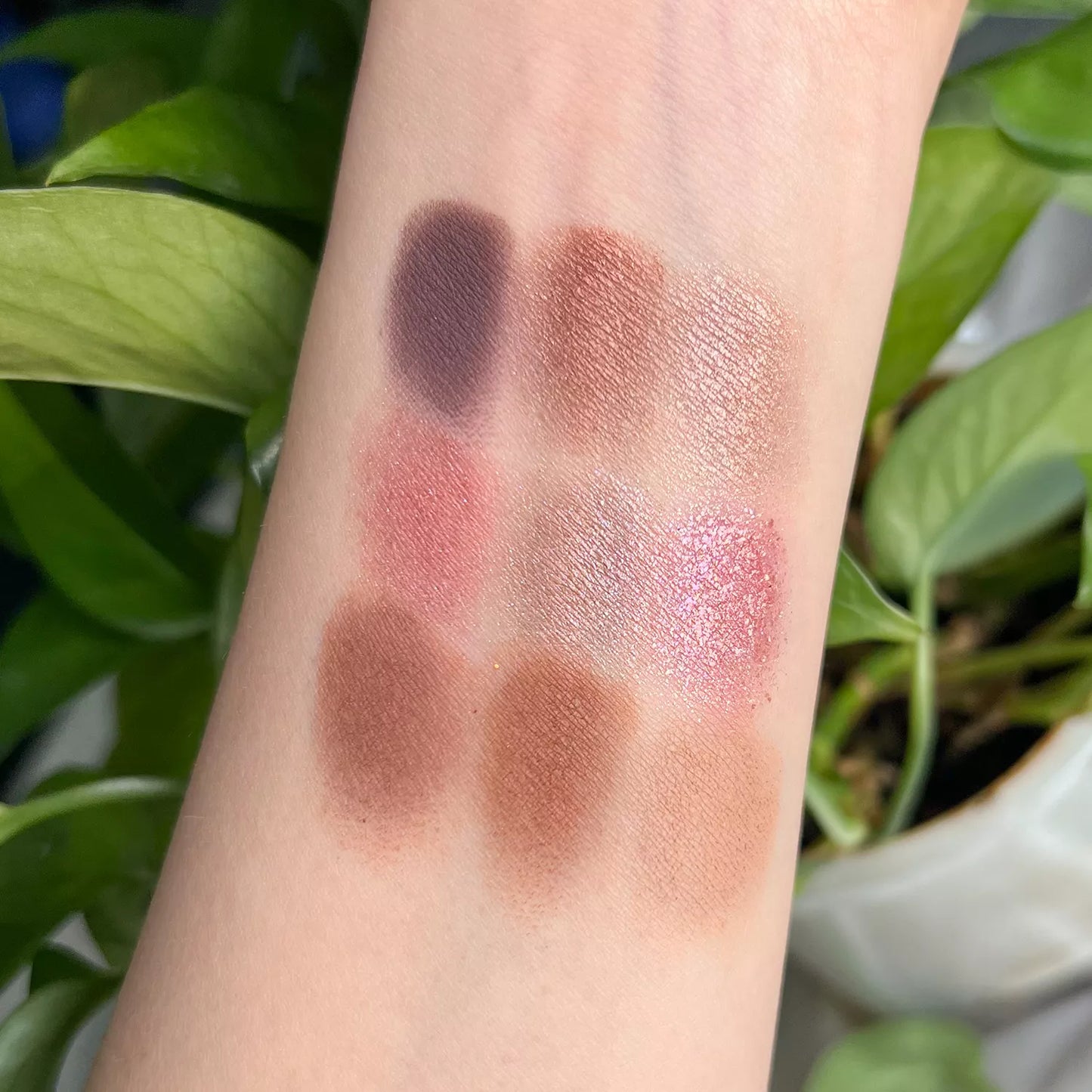C66-1 / C66-2 Eye Shadow